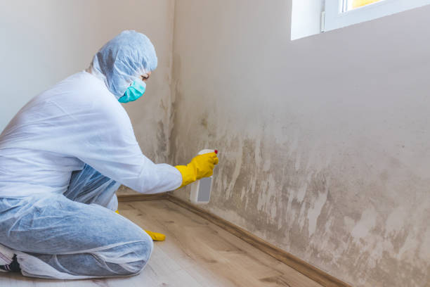 Commercial Mold Remediation assessment for commercial property in Gotha
